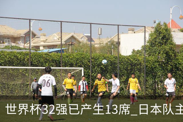 世界杯32强已产生13席 日本队主帅称目标小组第一