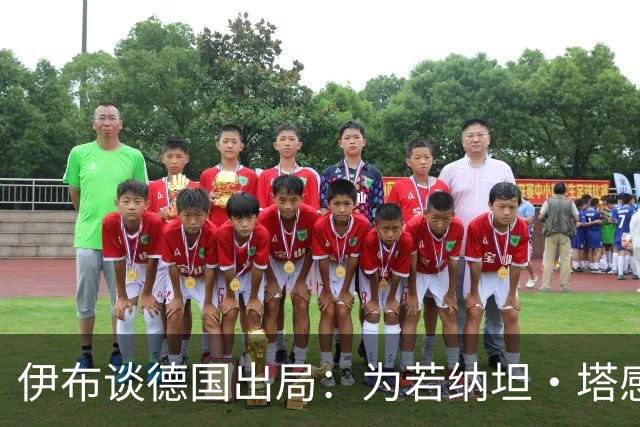 伊布谈德国出局：为若纳坦·塔感到遗憾 淘汰赛和点球就这么残酷