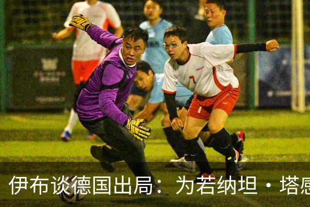 伊布谈德国出局：为若纳坦·塔感到遗憾 淘汰赛和点球就这么残酷