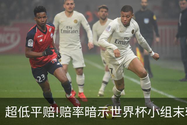 超低平赔!赔率暗示世界杯小组末轮一场默契球?