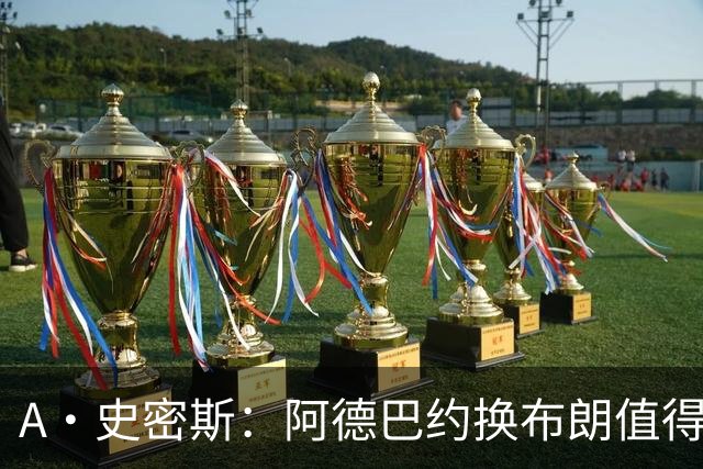 A·史密斯：阿德巴约换布朗值得热火考虑 但这会伤了阿德巴约的心
